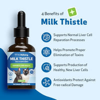 Pet Wellbeing Milk Thistle for Cats - Supports Liver Health, Healthy Detoxification, Antioxidant Support, Liver Cell Support, Silymarins - Veterinarian-Formulated Herbal Supplement - 2 oz (59 ml)