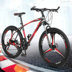 Shock Absorbing Cross-Country Bike with Variable Speed