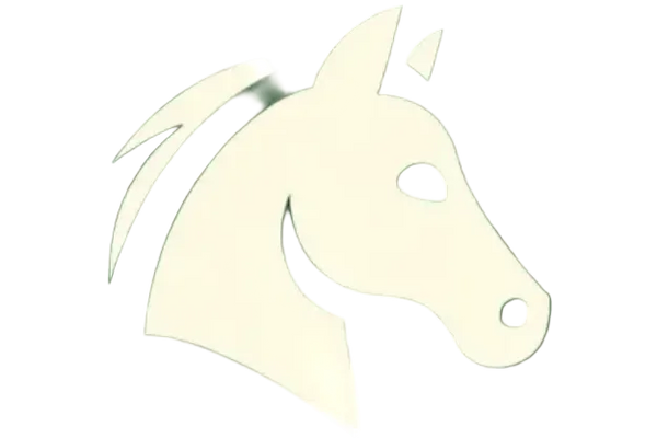 Equine – Performance • Recovery