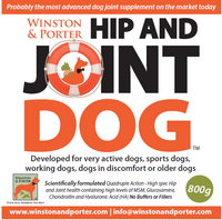Hip and Joint Dog