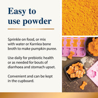 Pumpkin Powder - 200g