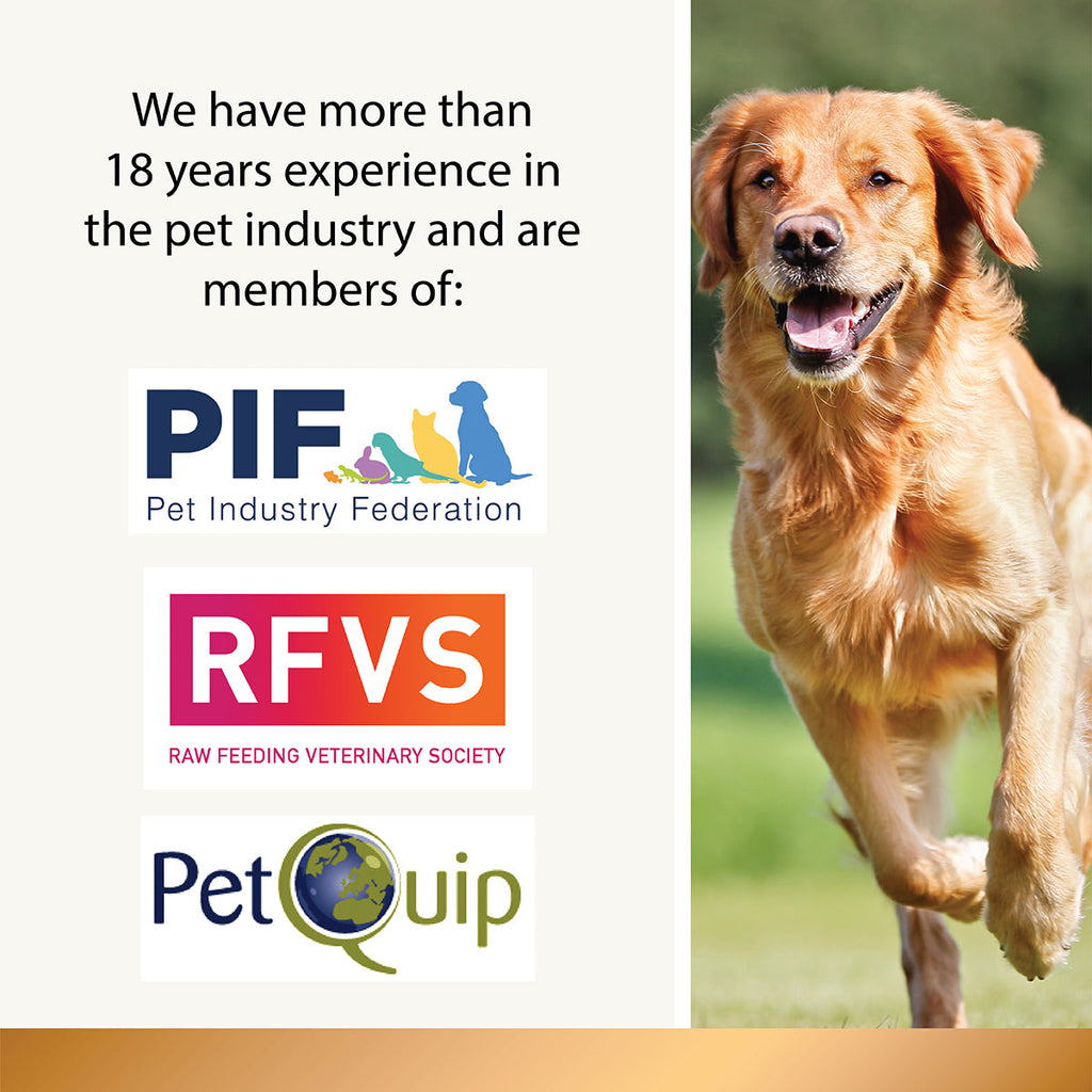 Pumpkin Powder - 200g