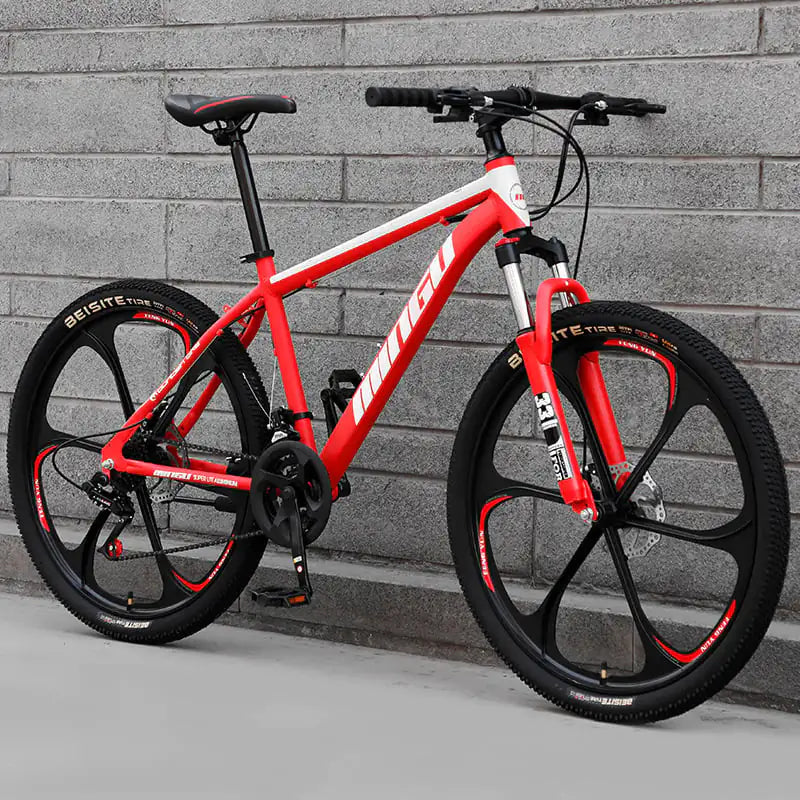 Mountain Bike 24/26 Inch Disc Brake with Shock Absorption