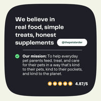 Pumpkin Powder for Dogs: Digestion Aid