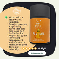 Pumpkin Powder for Dogs: Digestion Aid