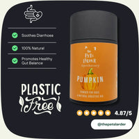 Pumpkin Powder for Dogs: Digestion Aid