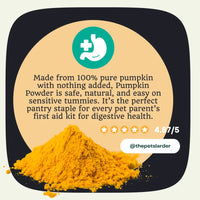 Pumpkin Powder for Dogs: Digestion Aid